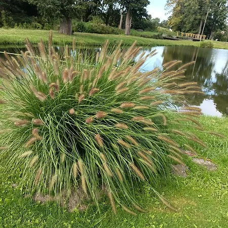 Nad Stawem * Golczewo (West Pomeranian)